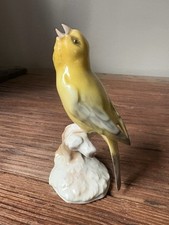 Canari porcelaine saxe d'occasion  Haubourdin