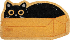 Zerbino esterno scatola usato Zerbino esterno scatola usato  Roma