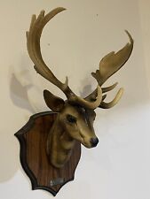 Vtg faux taxidermy for sale  Yakima