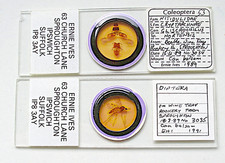 Pair ernie ives d'occasion  Expédié en Belgium