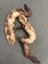 Vintage genuine fox for sale  Girard