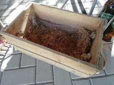 Alte holzkiste schatzkiste gebraucht kaufen  Hirschberg