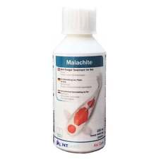 Labs malachite koi for sale  UK