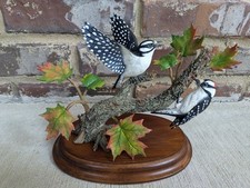 Autumn wonder downy for sale  Acworth