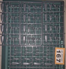 dwarf shields for sale  ROCHESTER