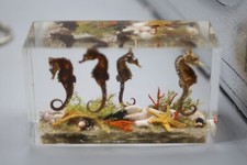 Vintage lucite beach for sale  Saint Petersburg
