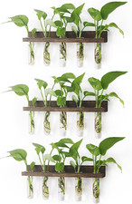 Plant propagation station d'occasion  Expédié en France