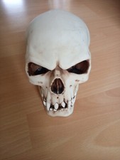 Markus mayer mm248 gebraucht kaufen  Flensburg