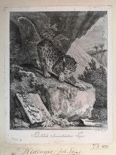 Radierung 1740 fälschlich gebraucht kaufen  Lübeck