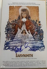 Jennifer connelly signed for sale  Fullerton