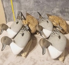 Flambeau floating pintail for sale  Oklahoma City