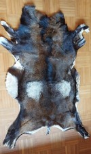 Muffel felle gebraucht kaufen  Brilon