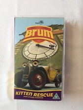 Ragdoll brum kitten for sale  WESTHILL