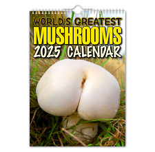 2025 calendar greatest for sale  TYN-Y-GONGL