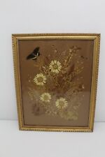 Papilio palamedes swallowtail for sale  COLCHESTER