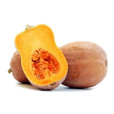 Semi zucca butternut usato  Trappeto