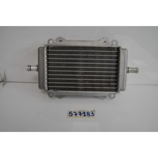 Radiador de água Piaggio Vespa Granturismo L 200 05-08 Vespa GTS comprar usado  Enviando para Brazil