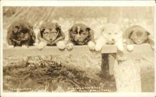 Antique rppc alaska for sale  South Portland