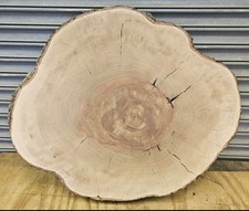 edge wood live round for sale edge wood live round for sale Bacliff