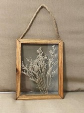 Delicate framed dried for sale  Upland