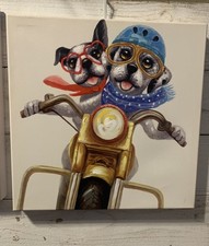 Adorable dogs riding for sale  Dallas