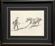 James cowboy breaking for sale  Annandale
