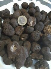 Tartufo nero fresco usato  Soveria Mannelli