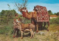 Turchia cammello in usato  Roma