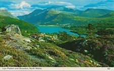 Postcards wales llyn for sale  NEW MILTON