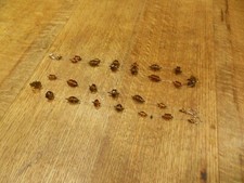 Pair topaz beaded for sale  WINDERMERE