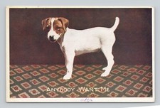 Postcard jack russell for sale  Ventura