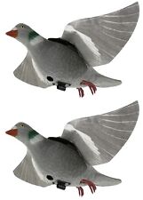 Pigeon hyper flap for sale  BOLTON