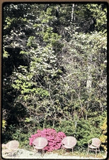 1982 backyard garden for sale  San Antonio