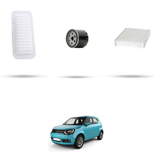 Hoffcar kit tagliando usato  Italia
