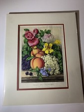 floral print fruits for sale floral print fruits for sale Lewisburg