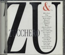 Zucchero sugar fornaciaci usato  Italia