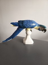 Grand perroquet oiseau d'occasion  France