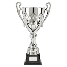 Large silver trophy for sale  SHEFFIELD