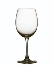 Spiegelau soiree magnum gebraucht kaufen  Gersthofen