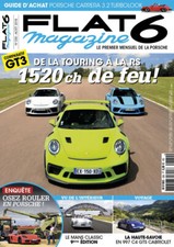 Flat magazine 330 d'occasion  Bubry