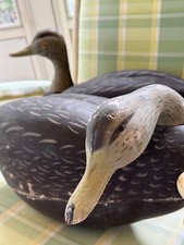 Pair black duck for sale  Cape May