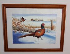 John stevenson pheasant for sale  ANDOVER