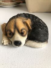 Beagle dog laying for sale  Mcalester