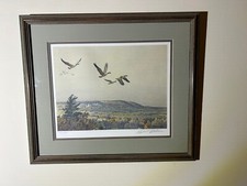 Canada geese autumn for sale  Biddeford