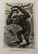 1885 book engraving for sale  Wilmington