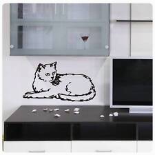 Wandtattoo katze kätzchen gebraucht kaufen  Darmstadt