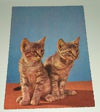 Alte 70er jahre gebraucht kaufen  Haßmersheim