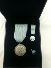Completo medaglia benemerenza usato  Pesaro