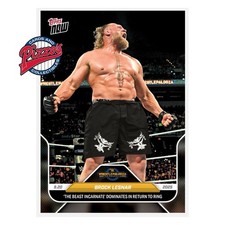 Brock lesnar wrestlepalooza usato  Spedire a Italy