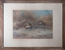 Archibald thorburn 1923 for sale  BRADFORD-ON-AVON